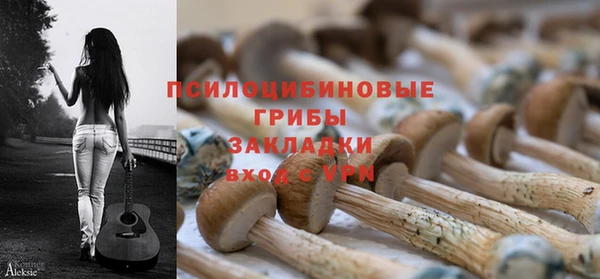 герыч Балахна