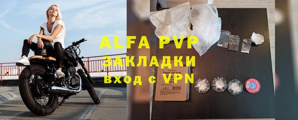 индика Балабаново