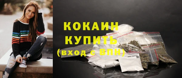 стаф Аркадак