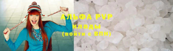 стаф Аркадак