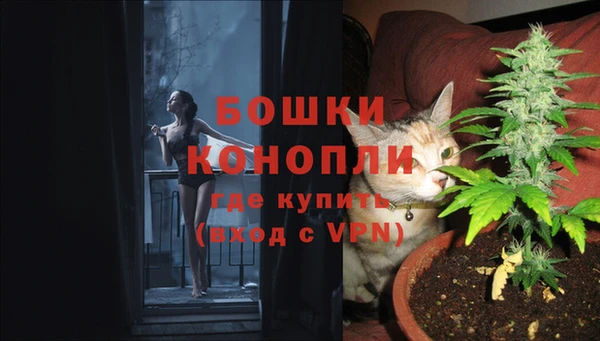 индика Балабаново