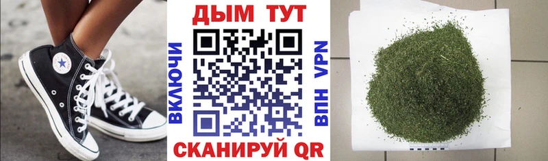 Бошки Шишки MAZAR  Нюрба 